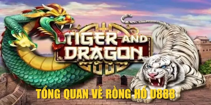 Tổng quan về Rồng Hổ U888